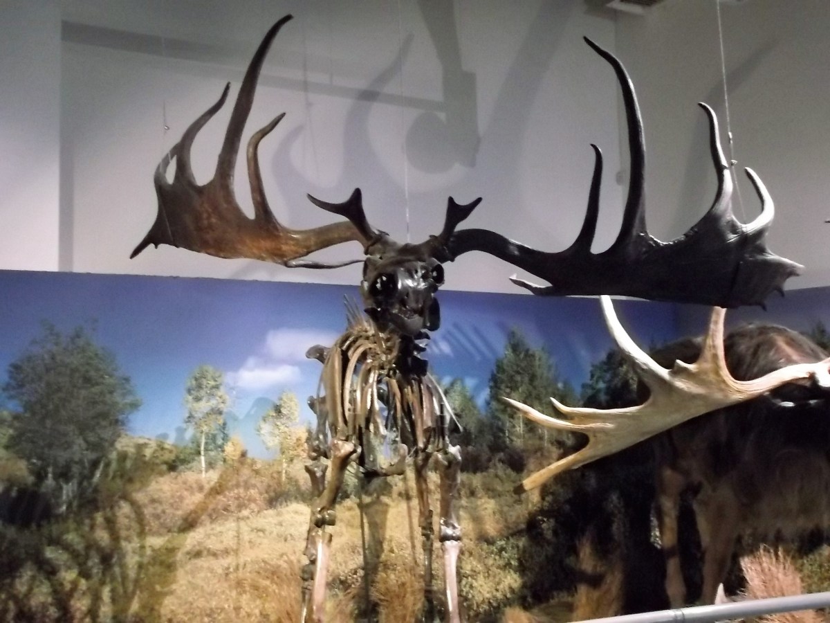 Walking Between the&nbsp;Raindrops