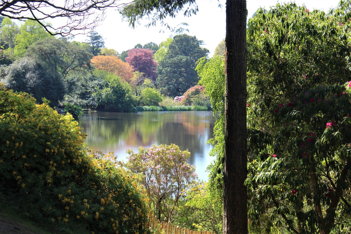 Another Garden While the Sun&nbsp;Shines