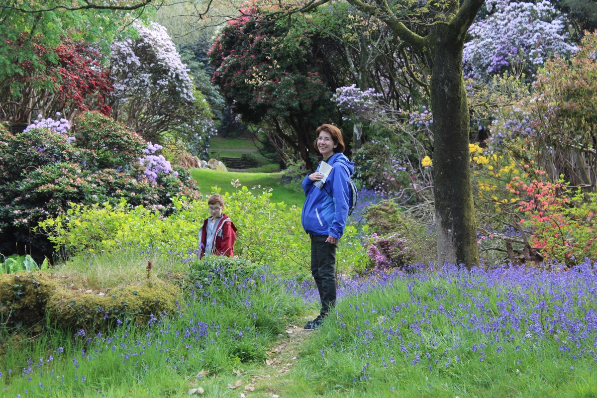 Garden Beauty in Full&nbsp;Bloom